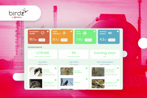 Success Story Birdz by Veolia Opendatasoft