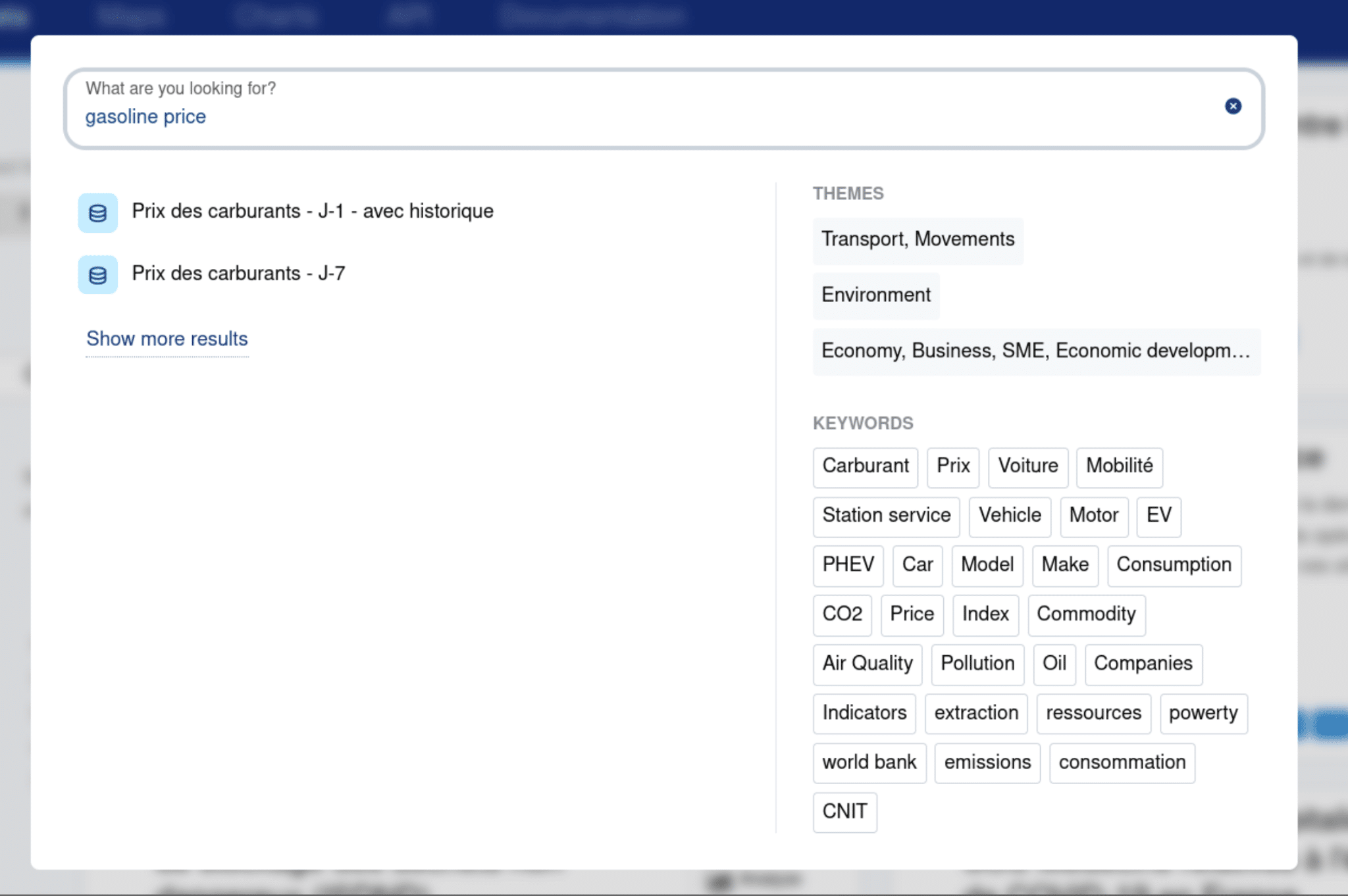 Screenshot moteur de recherche IA Opendatasoft