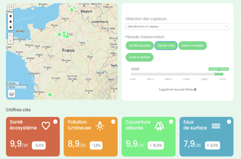 Dashboards Birdz