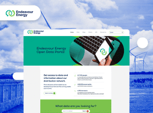 Endeavour Energy Open Data Portal